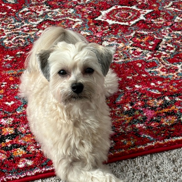 🧁 $5 Box Bundles - Live Show Deals 🛼 🛼 🛼 - Picture 8 of 8